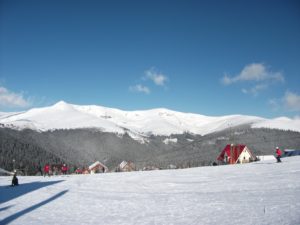 DSCF1334